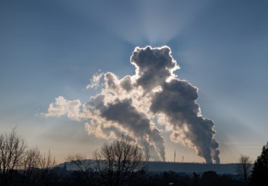 wychwytywania węgla z powietrza