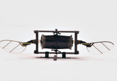 drony-inspirowane-owadami-odporne-kevin-yufeng-chen-mit-prototyp