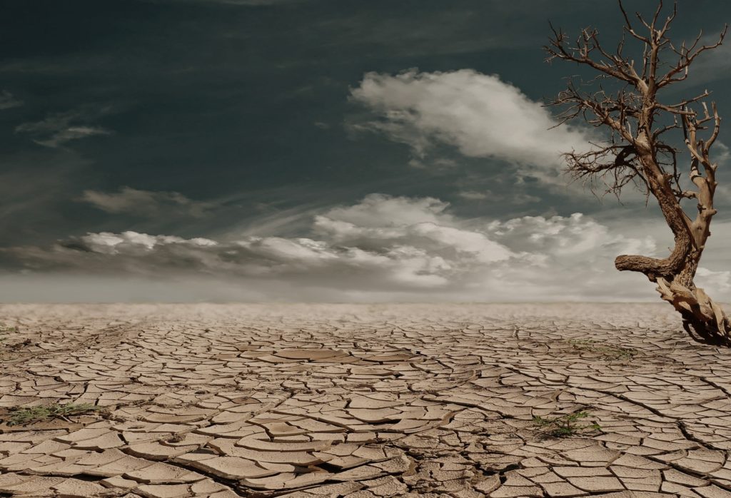 pustynia sucha ziemia pexels pixabay 60013