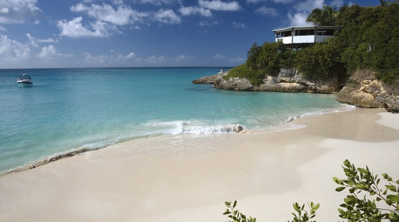 Anguilla domena .ai